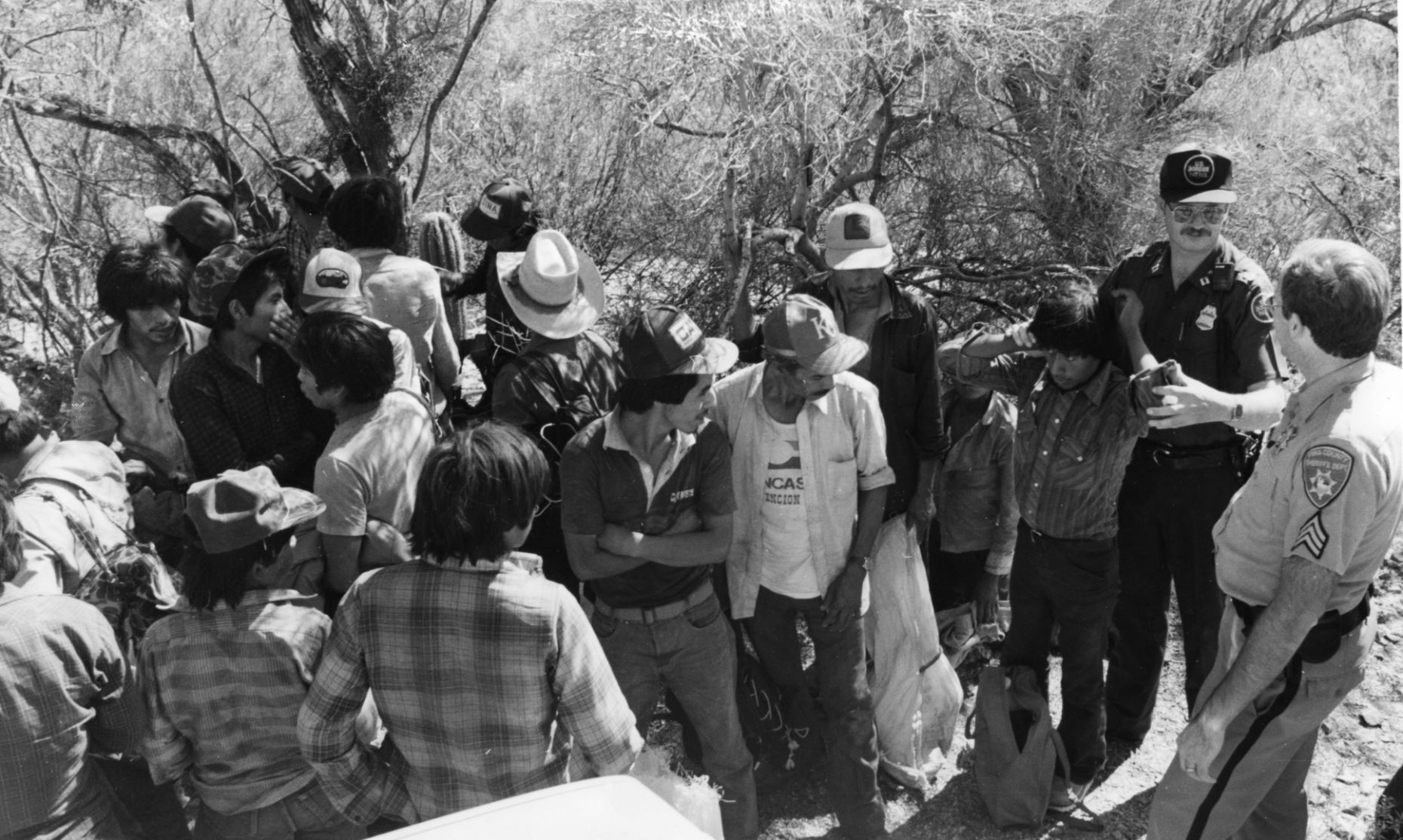 Illegal immigration